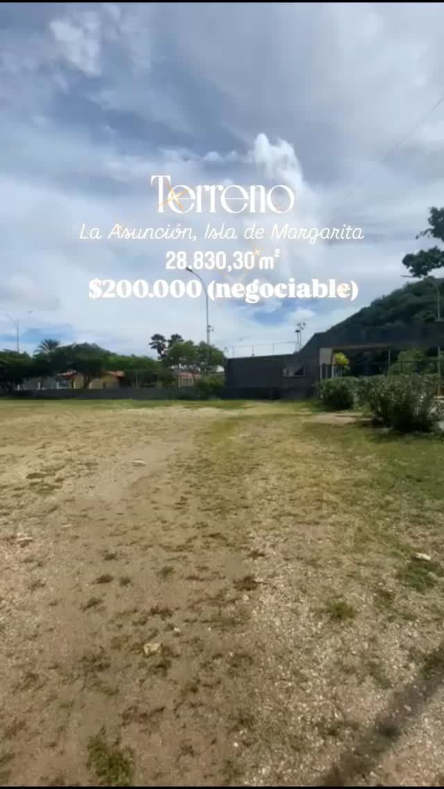 Terreno en Avenida Constitución, La Asunción - imagen 1