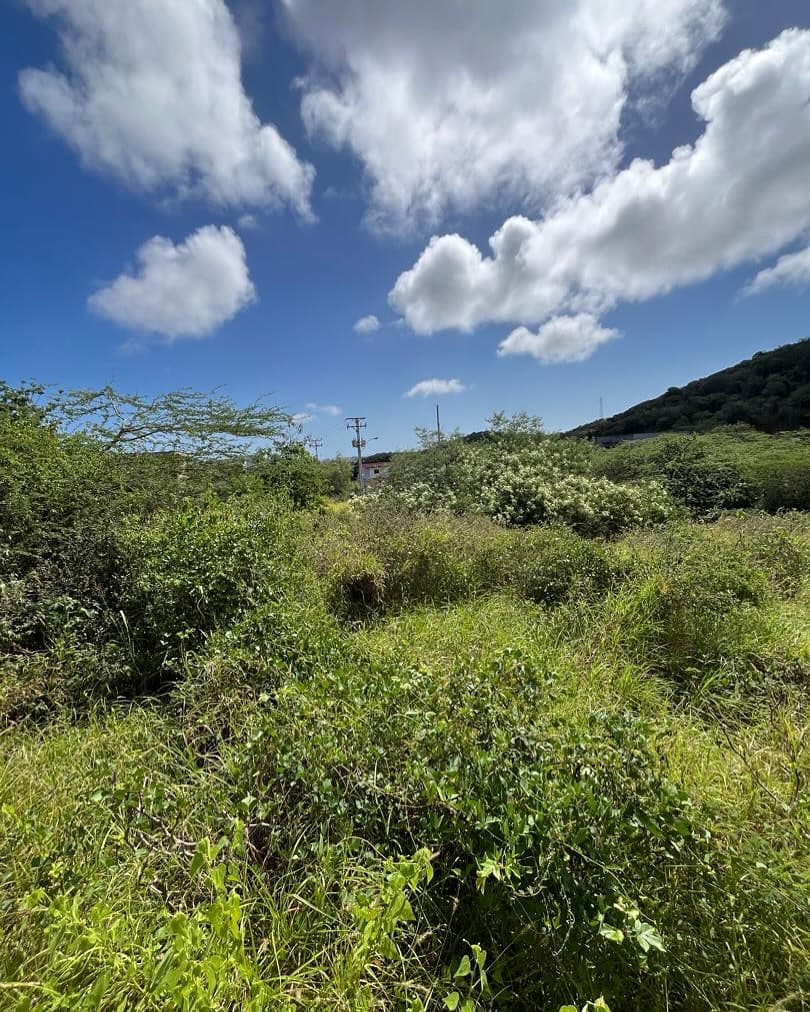 Terreno en venta 1800 m2 Los Robles, Margarita - imagen 2