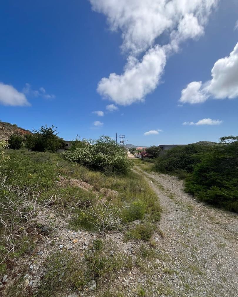 Terreno en venta 1800 m2 Los Robles, Margarita - imagen 4