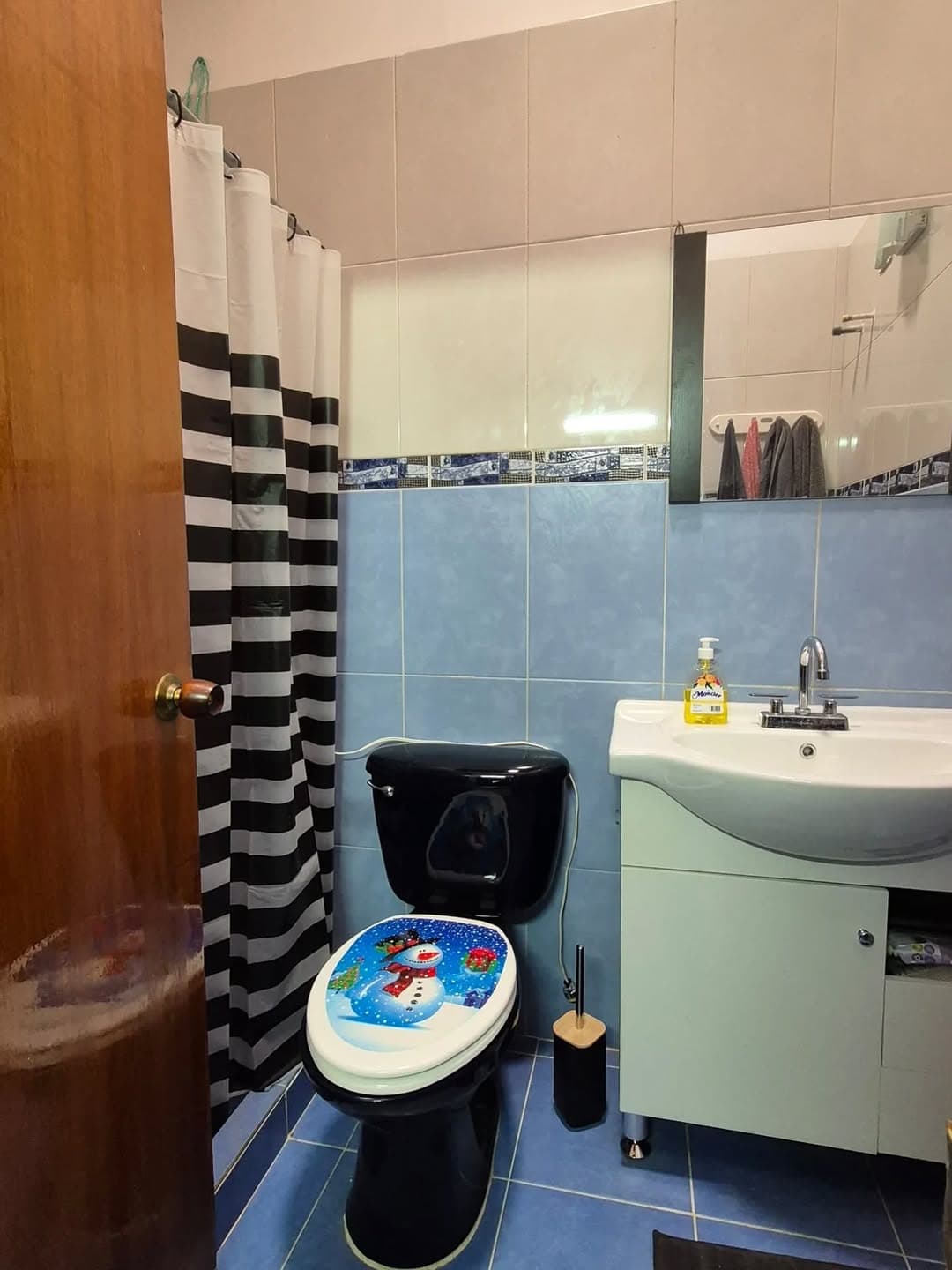 Casa independiente 3 hab. en Guacuco, Arismendi 9