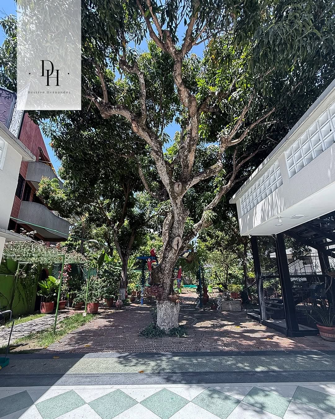 Propiedad 1.317 m² con infraestructura renovada en San Bernardino 9