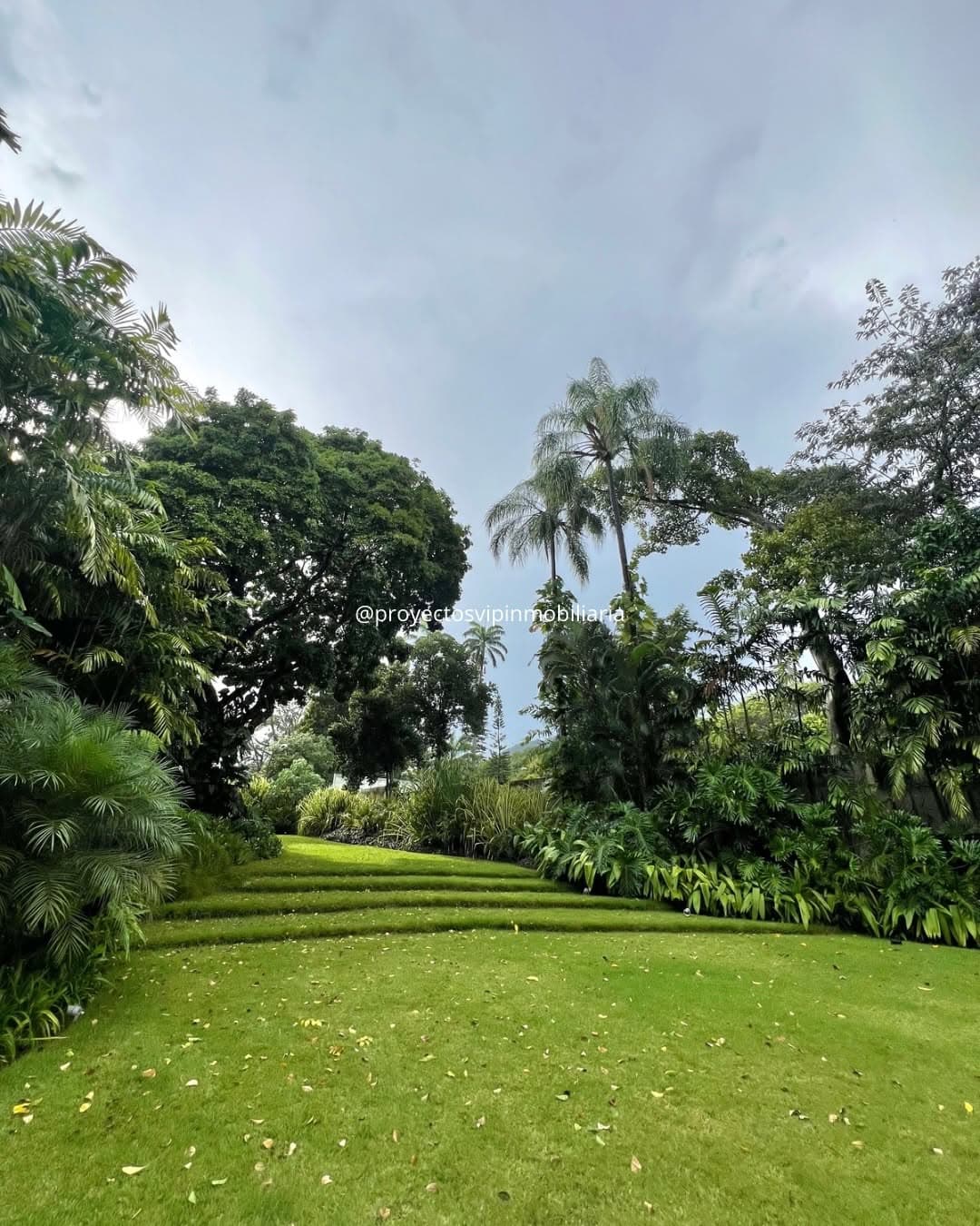 Apartamento de lujo San Marino, Campo Alegre - 380 m² - imagen 3