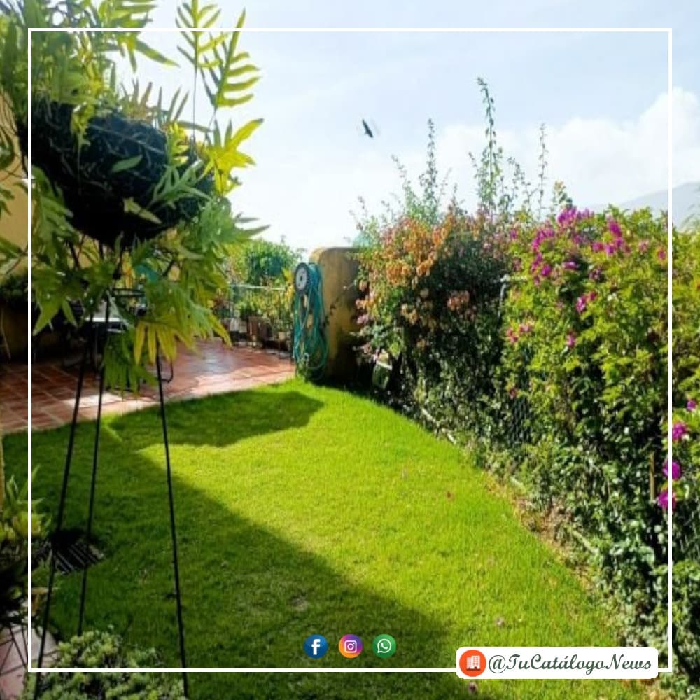 Town House 6H/5B Alto Prado, Caracas - 350 m² 10