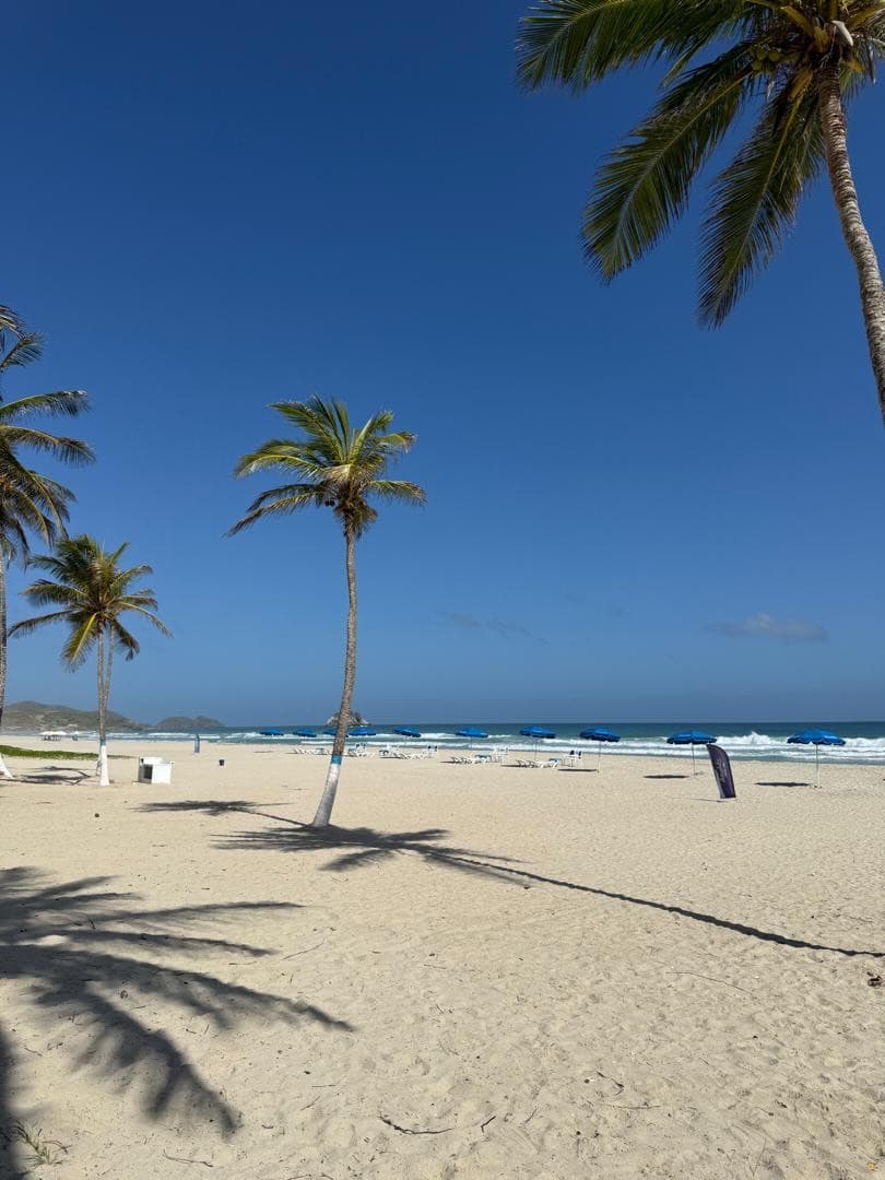 Local Comercial en Nueva Esparta - imagen 5