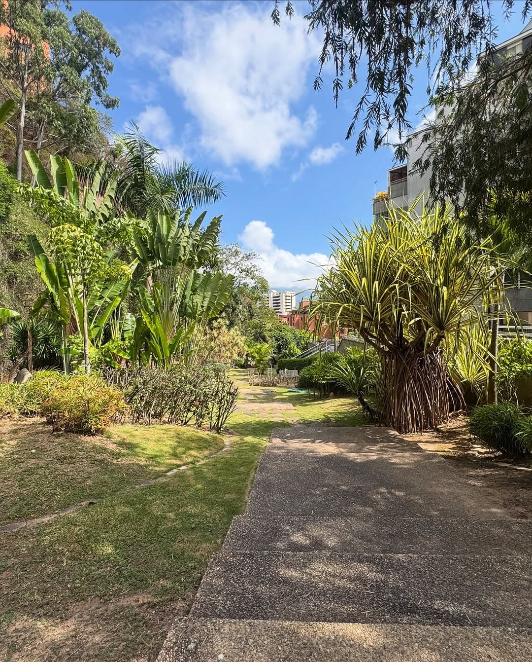 Apartamento en Valle Arriba, Libertador 18