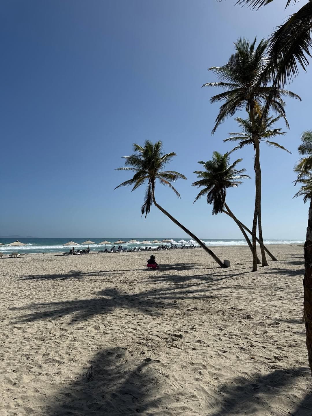 Local Comercial en Nueva Esparta 11