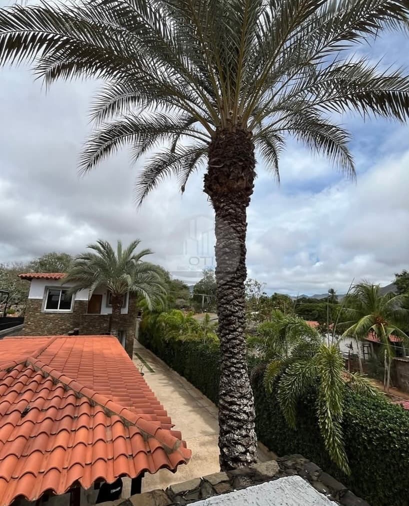 Apartamento en Arismendi, Barinas 7