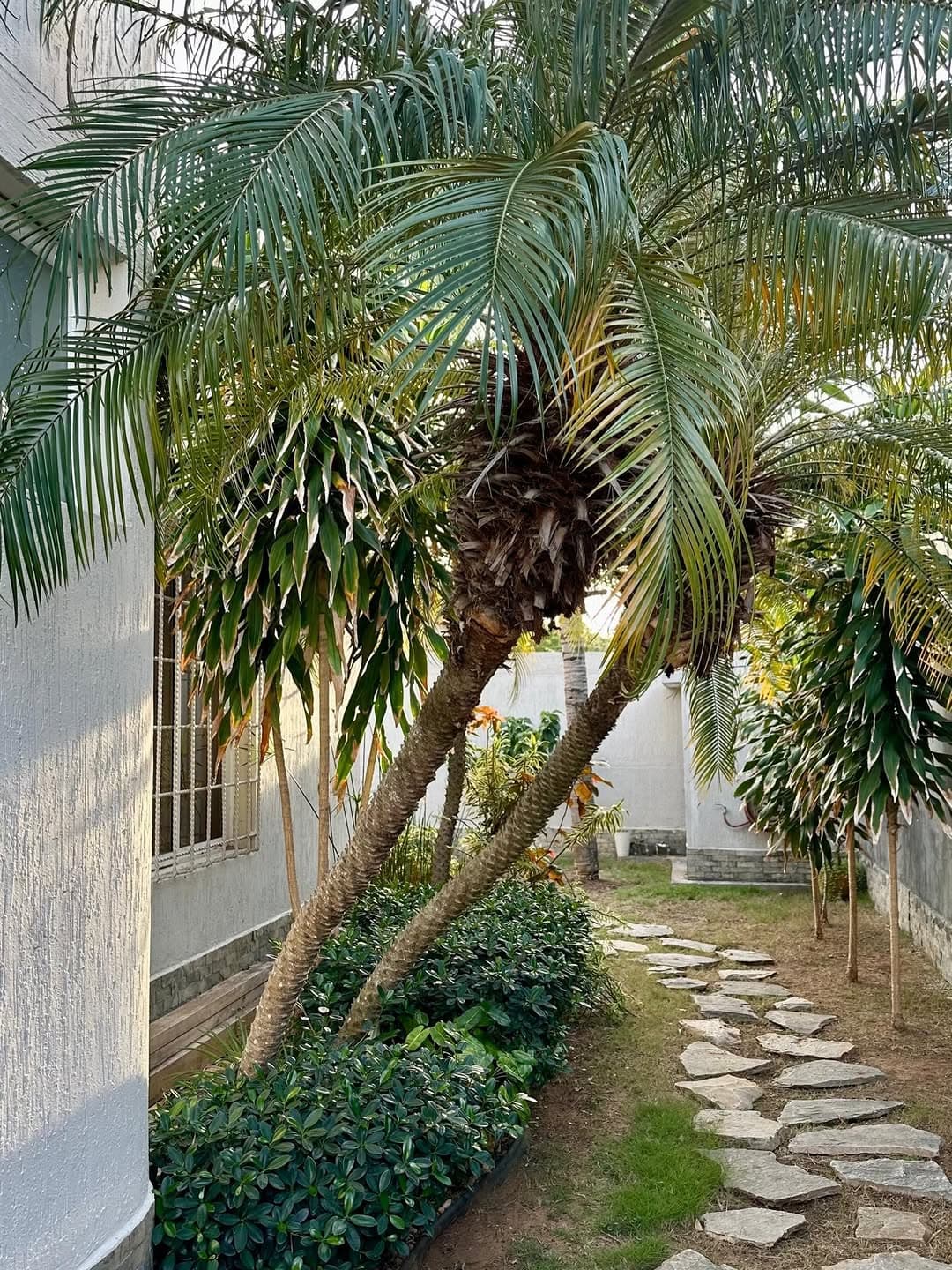 Casa en Pampatar, Maneiro 13