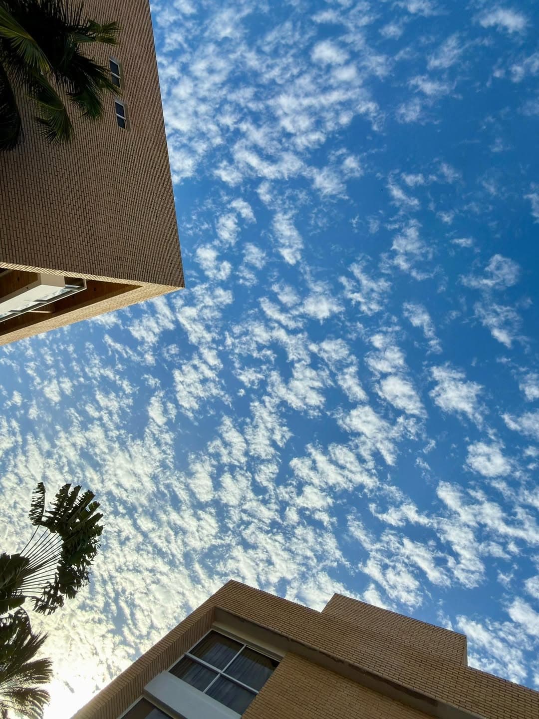 Penthouse en Pampatar, Maneiro - imagen 2