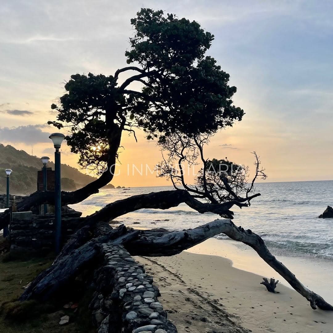 Terreno en Urama, Mora - imagen 5