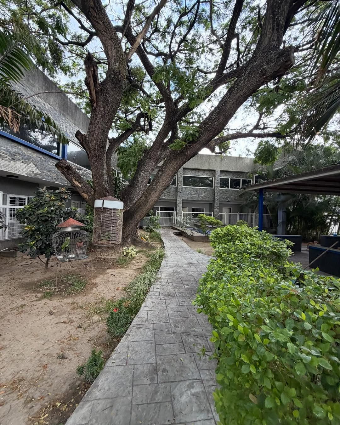 Galpón en Turmero, Santiago Mariño - imagen 5