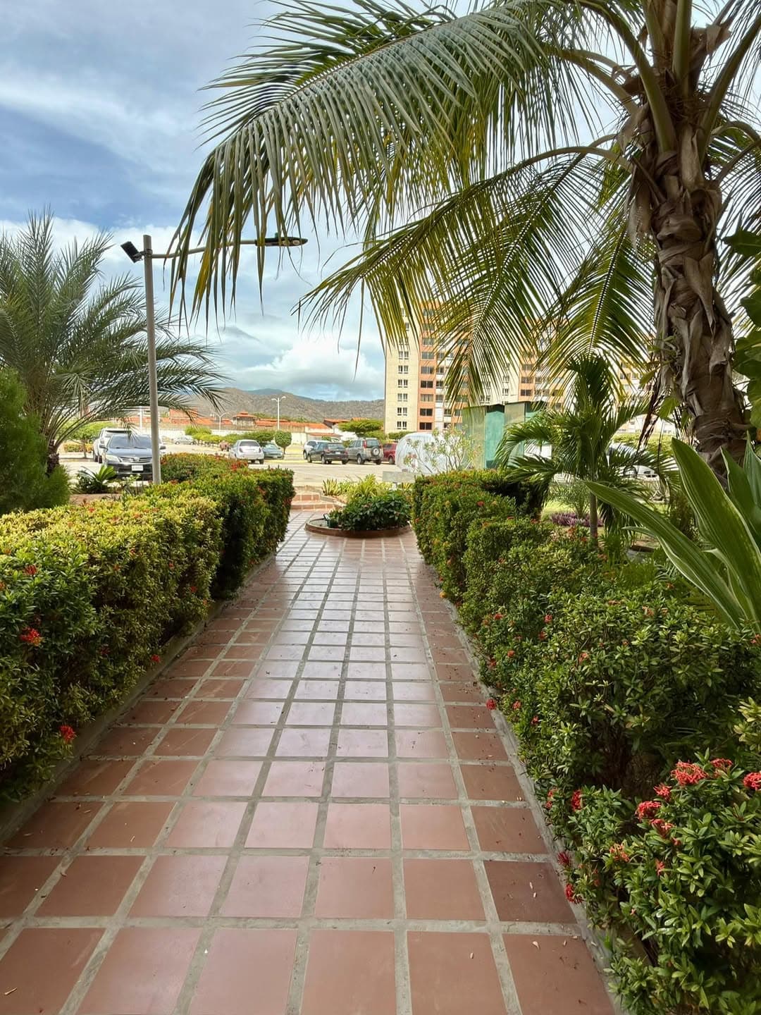 Apartamento en Porlamar, Mariño 13