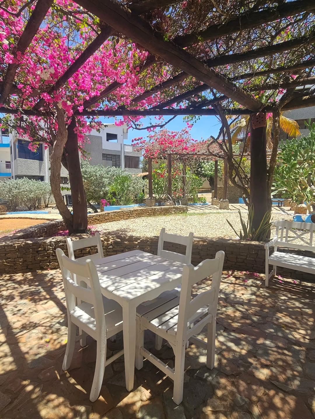 Local Comercial en Nueva Esparta 11