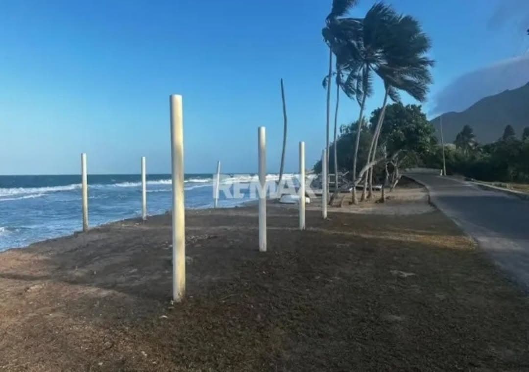 Terreno en Antolín del Campo, Antolín del Campo 6