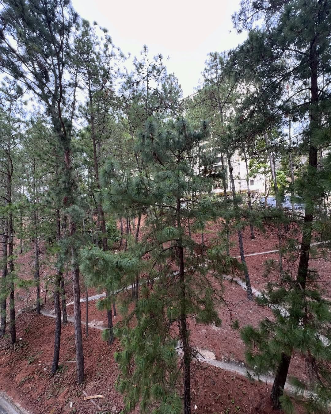 Apartamento en Sucre, Aragua 13