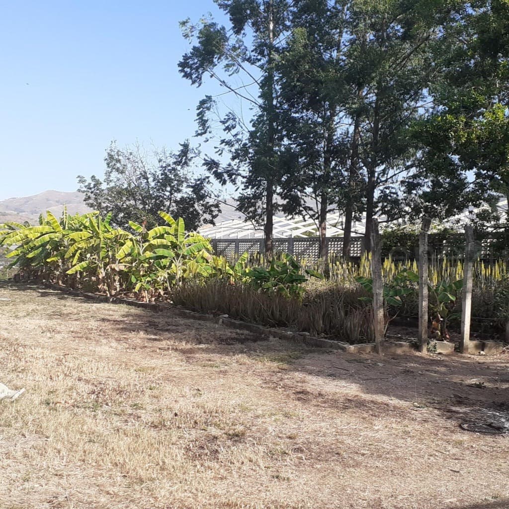 Galpón en Zamora, Aragua 10