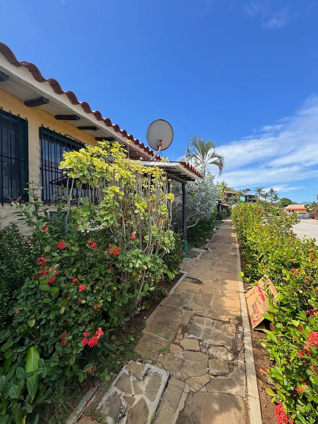 Estudio en Pampatar, Maneiro 11