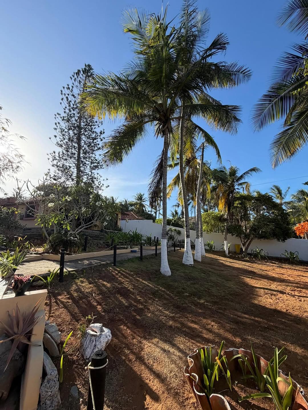 Casa en Antolín del Campo, Antolín del Campo 6