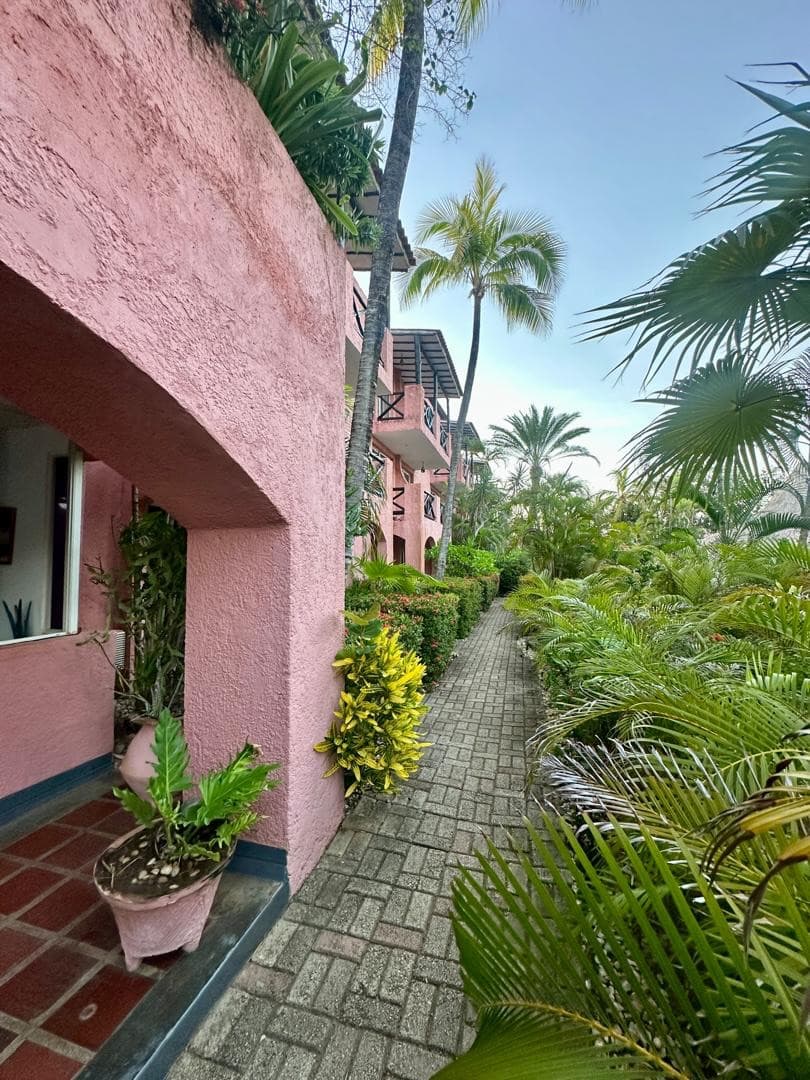 Local Comercial en Nueva Esparta - imagen 4