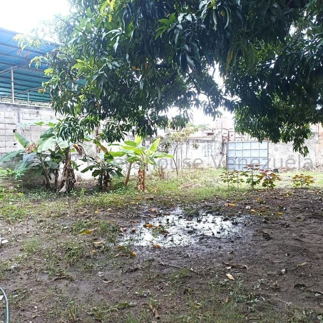 Terreno en Girardot, Cojedes - imagen 4