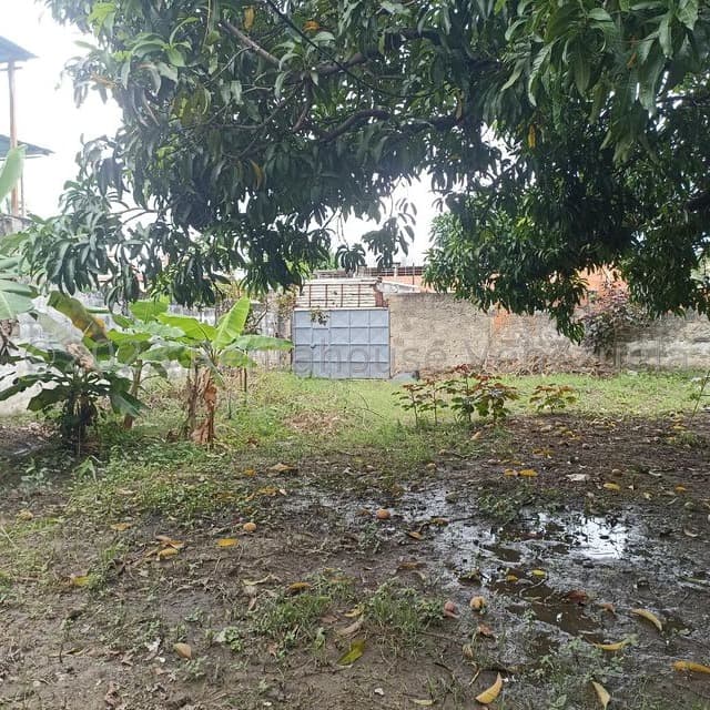 Terreno en Girardot, Cojedes 7