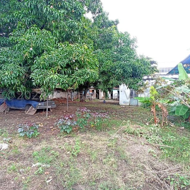 Terreno en Girardot, Cojedes 9