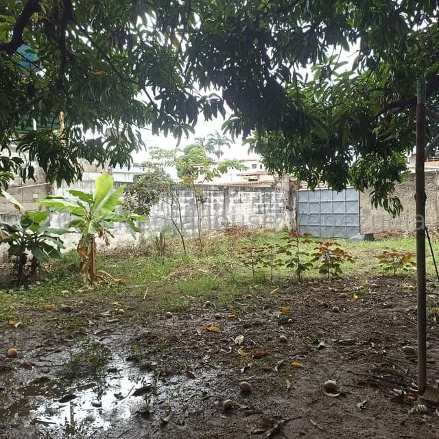 Terreno en Girardot, Cojedes 10