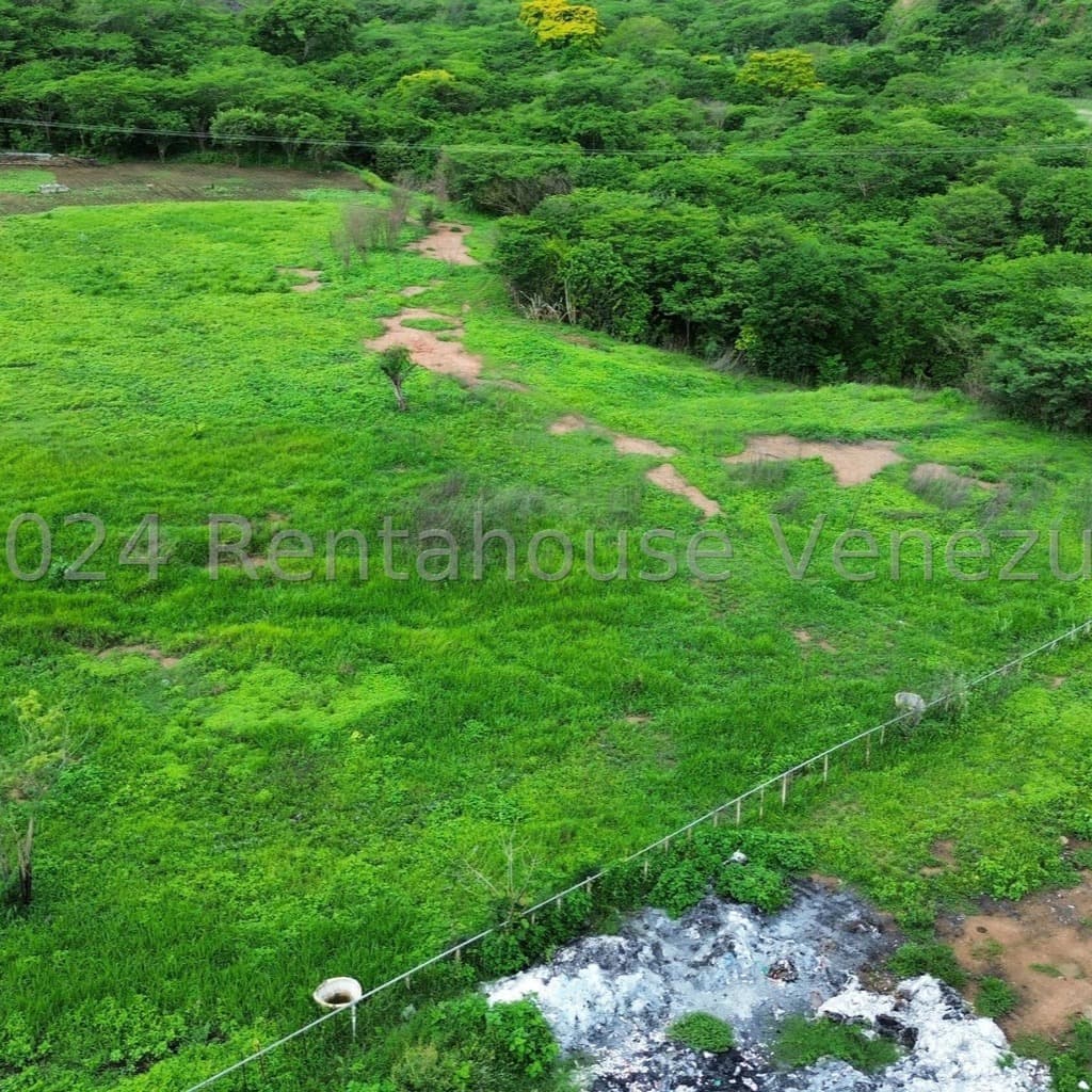 Galpón en Girardot, Cojedes - imagen 4