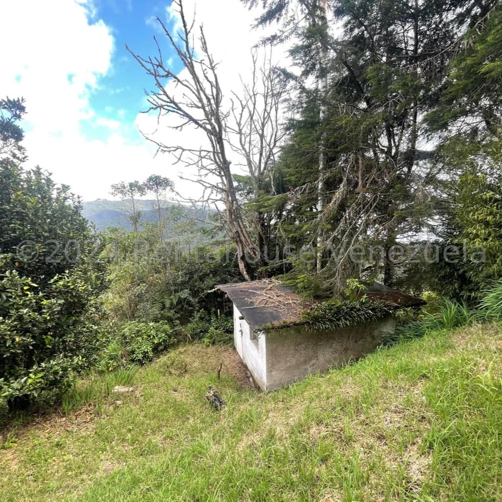 Terreno en Tovar, Aragua - imagen 4