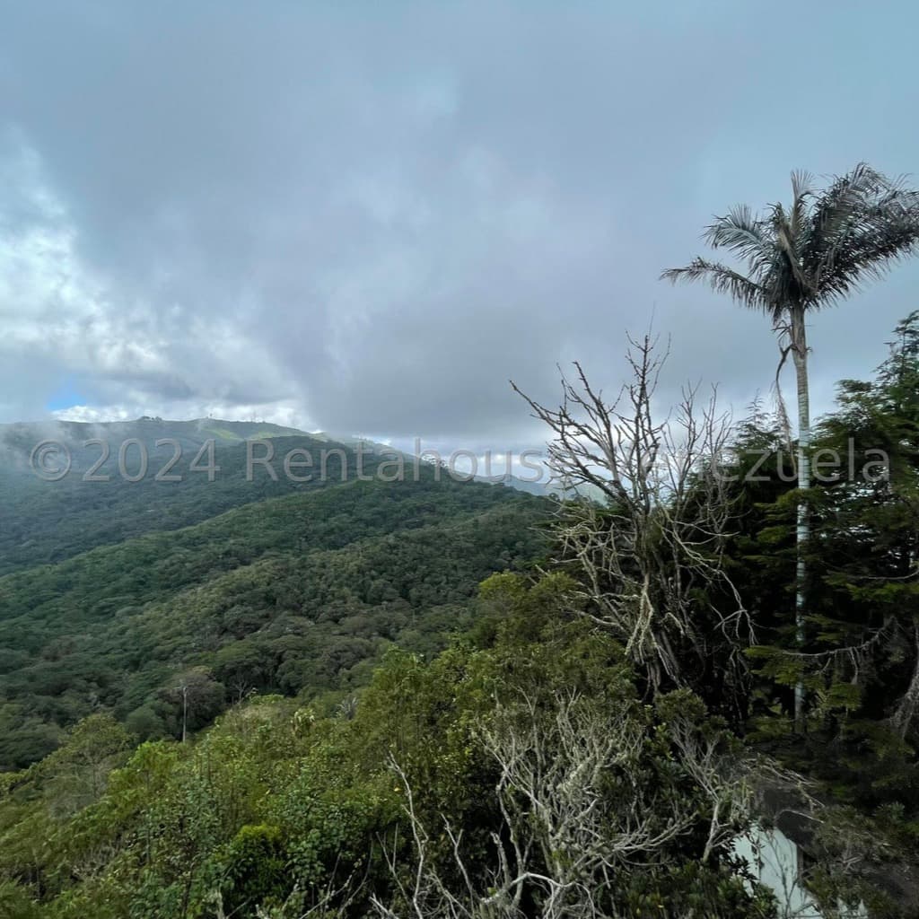 Terreno en Tovar, Aragua 9