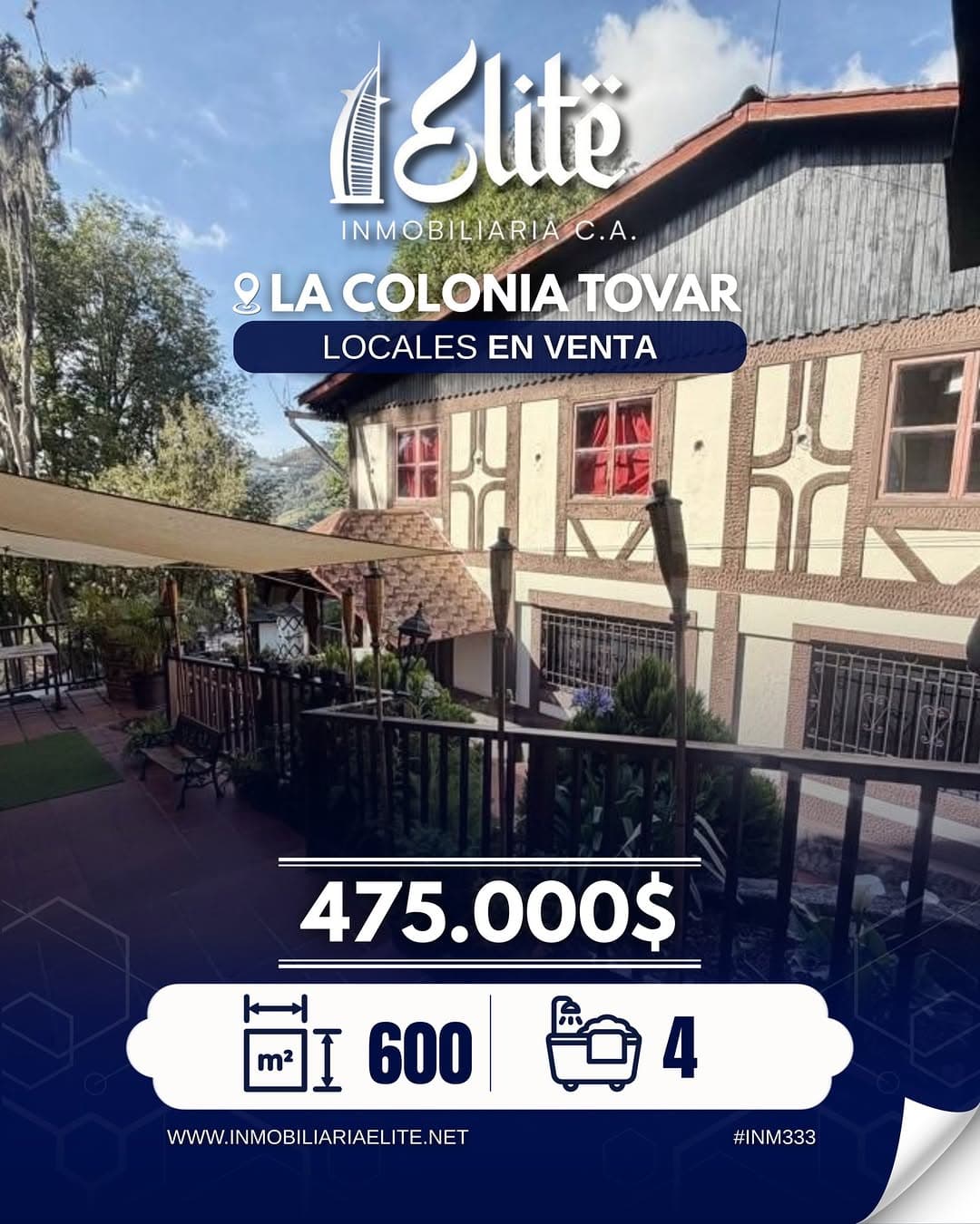Local Comercial en Tovar, Aragua - imagen 1