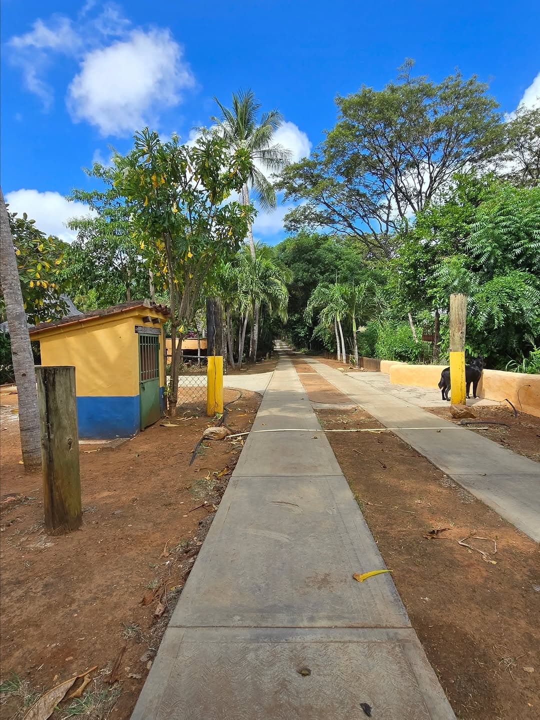 Casa en Guayabal, San Gerónimo de Guayabal - imagen 2