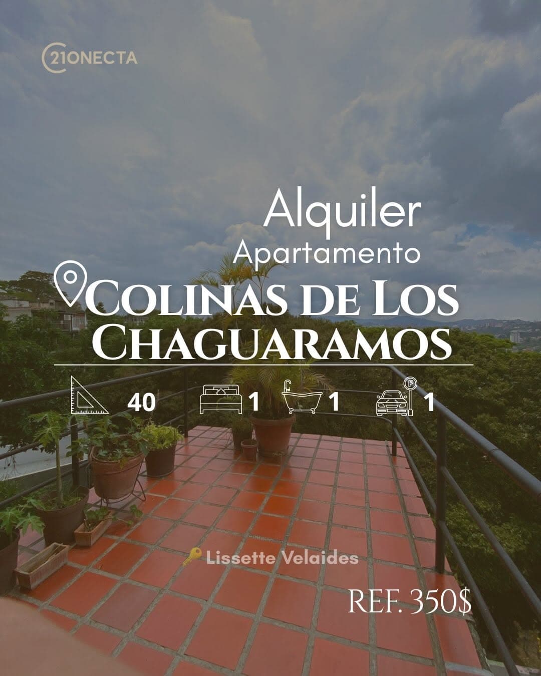 Estudio en Libertador, Aragua - imagen 1