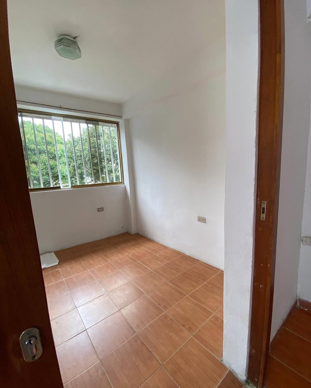 Estudio en Libertador, Aragua - imagen 4