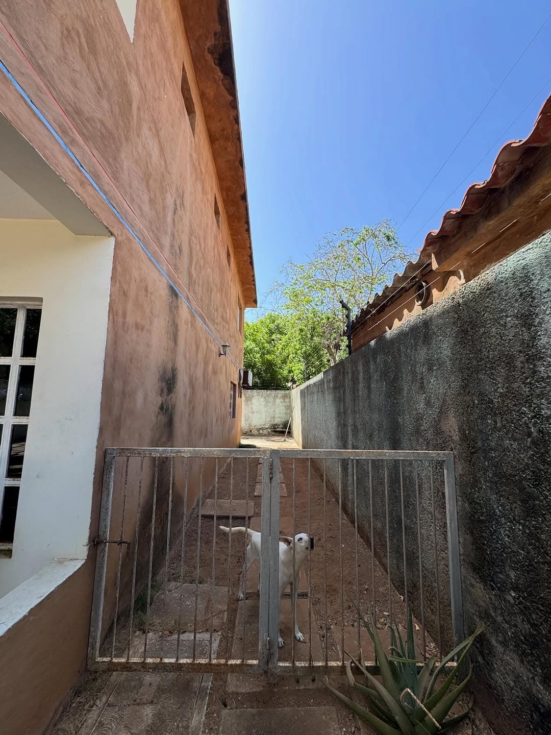 Casa en Antolín del Campo, Antolín del Campo 9