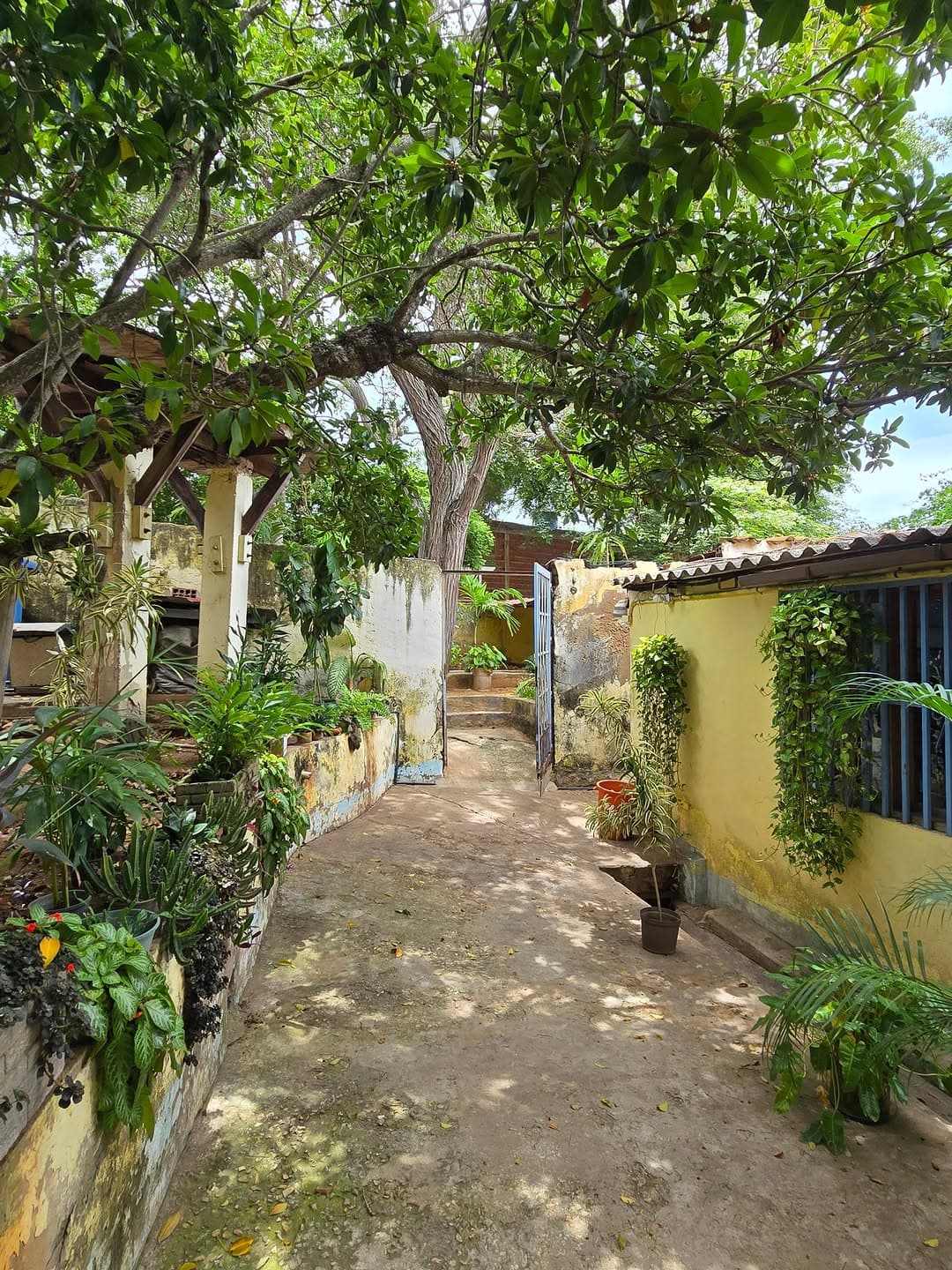 Casa en Nueva Esparta 11